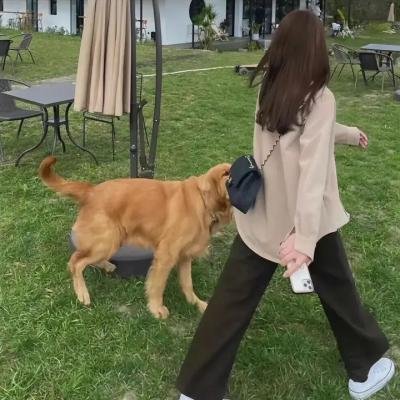 铁血战士